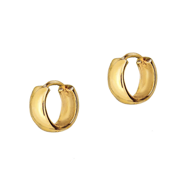 Favorite Hinged Hoops