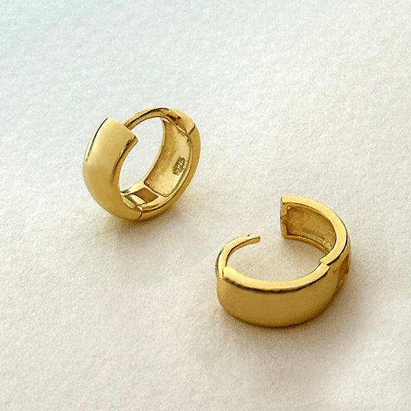 Favorite Hinged Hoops
