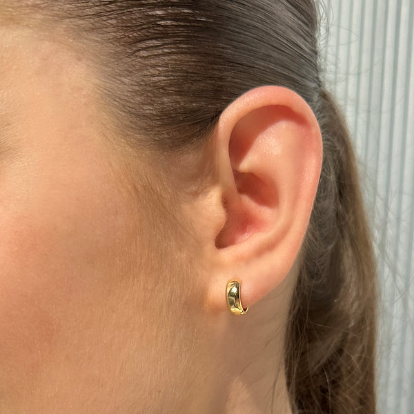 Favorite Hinged Hoops