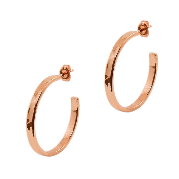 Gold Hammered Small Hoops