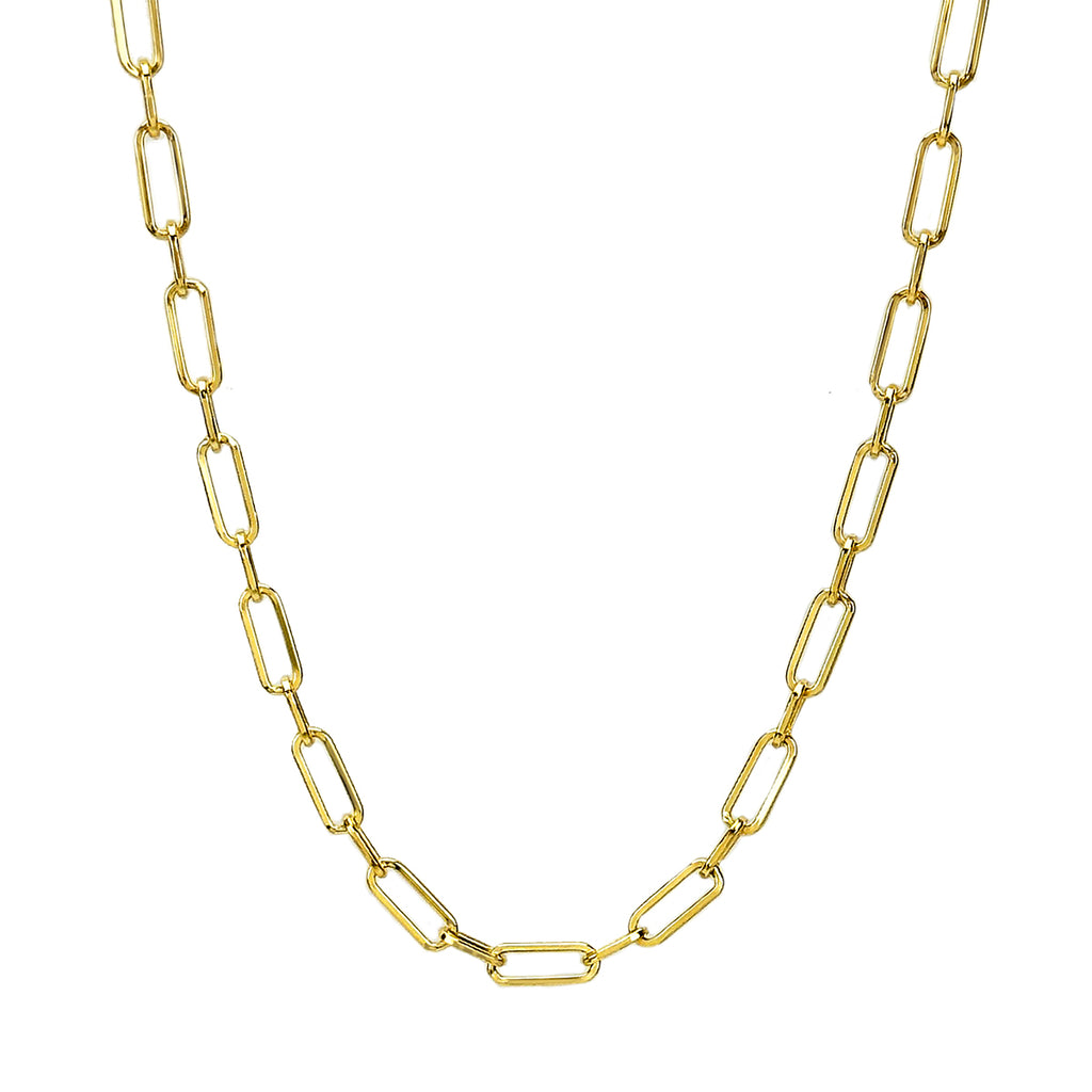 Linked In Chain Necklace