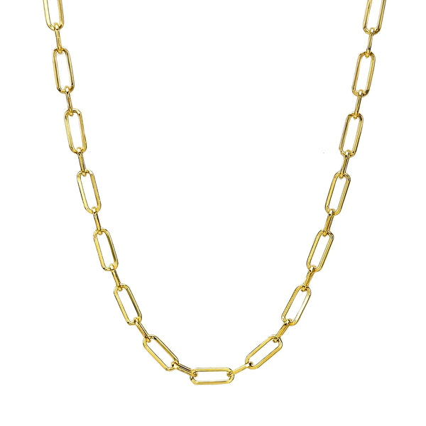 Linked In Chain Necklace