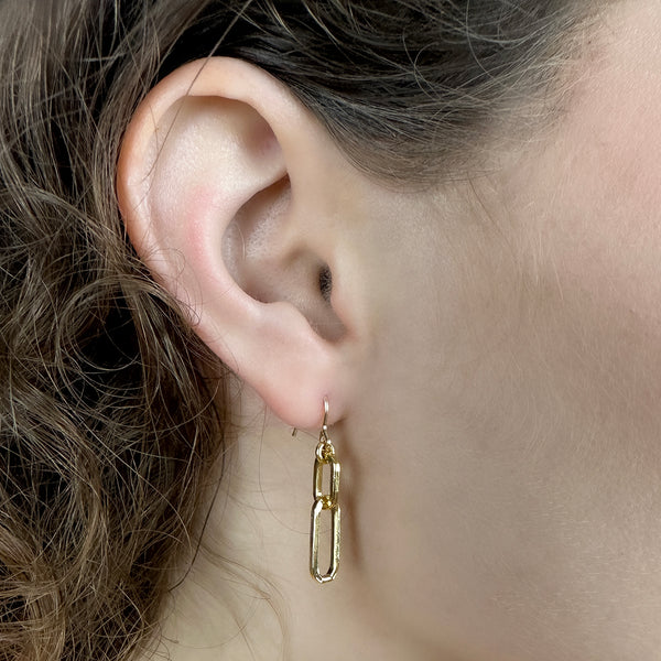 Linked In Drop Earrings