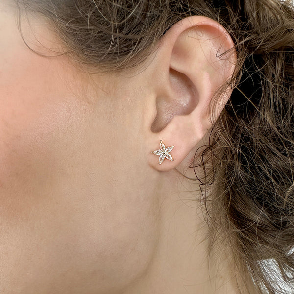 Star Flower Pendant and Earring Set