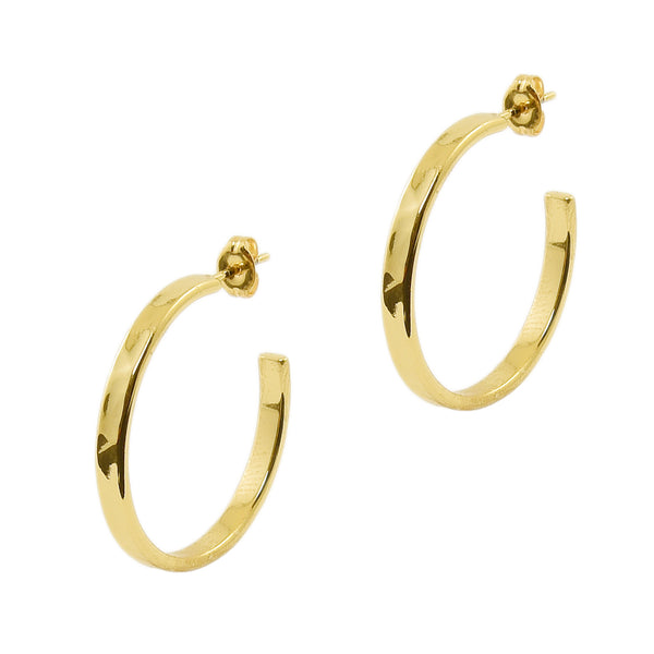 Gold Hammered Small Hoops