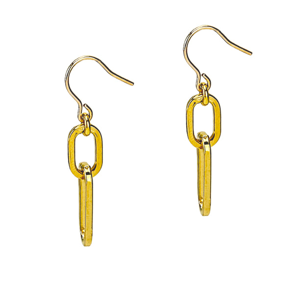 Linked In Drop Earrings