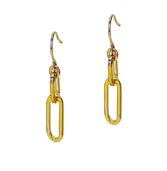 Linked In Drop Earrings